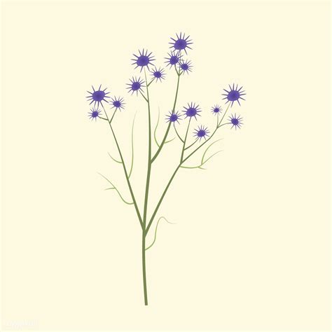Wild Flower Vector Illustration Free Image By Vector