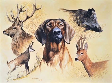 Galerie Des Peintures Peinture Animalière Dessin Animaliers