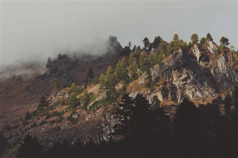 Free Download Hd Wallpaper Mountain Landscape Peak Summit Trees