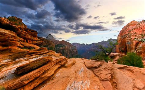We did not find results for: Free Zion National Park wallpaper | 1680x1050 | #30344