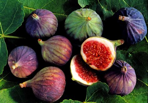 Easy Ways To Select Store And Cook With Fresh Figs
