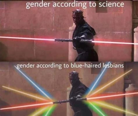 Gender Fluid Meme By Schizoidman Memedroid