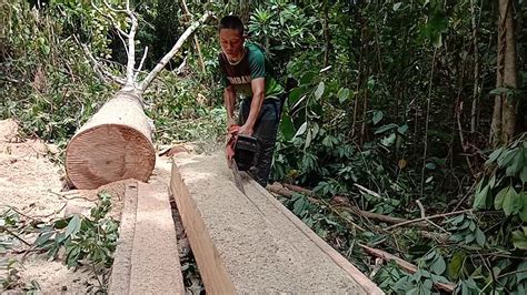 Potong Kayu Seraya Merasaiz4x4 Orang Sabah Style Youtube