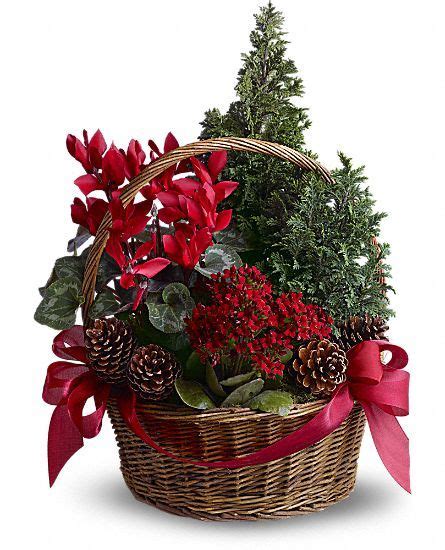 Tannenbaum Basket Flowers Christmas Flower Arrangements Christmas