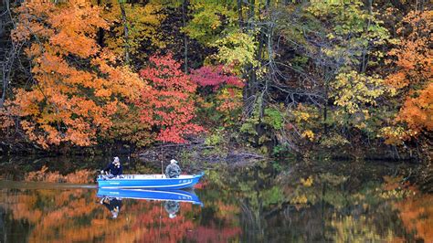 Outlook Optimistic For Fall Foliage Display In Western Pennsylvania