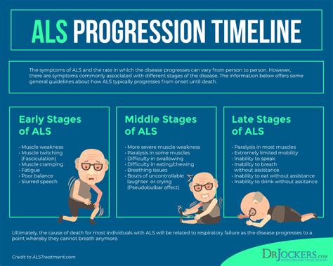 7 Stages Of Als