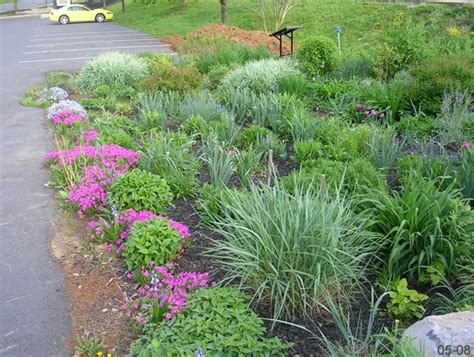 The rain garden dips slightly into the ground and has soil engineered to increase. Rain Gardens
