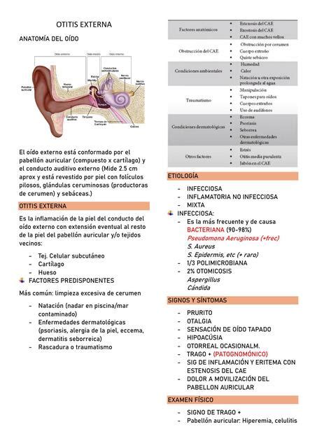 Otitis Externa Y Media Lidia Udocz