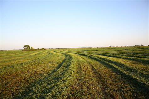 Freshly Cut Alfalfa Field A Freshly Cut Alfalfa Field Rea Flickr
