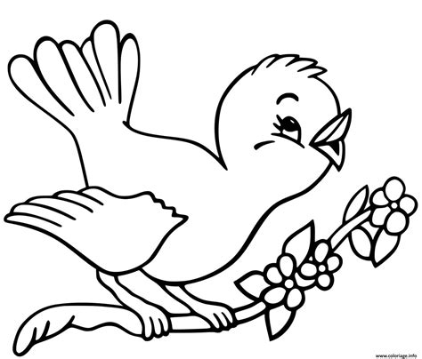 Coloriage Oiseau Sur Une Branche Chante Dessin Oiseau à Imprimer