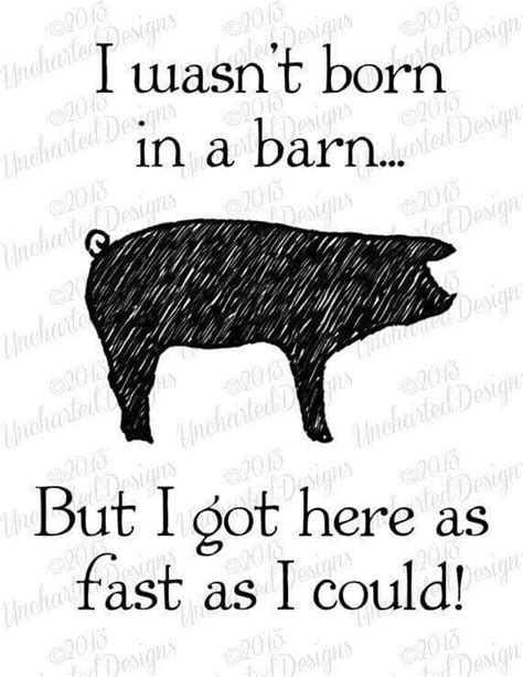 Pin By Jenifer On Wise Words Pigs Quote Showing Livestock Stockshow