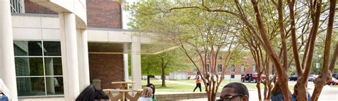 University Of Arkansas At Monticello Collegevine