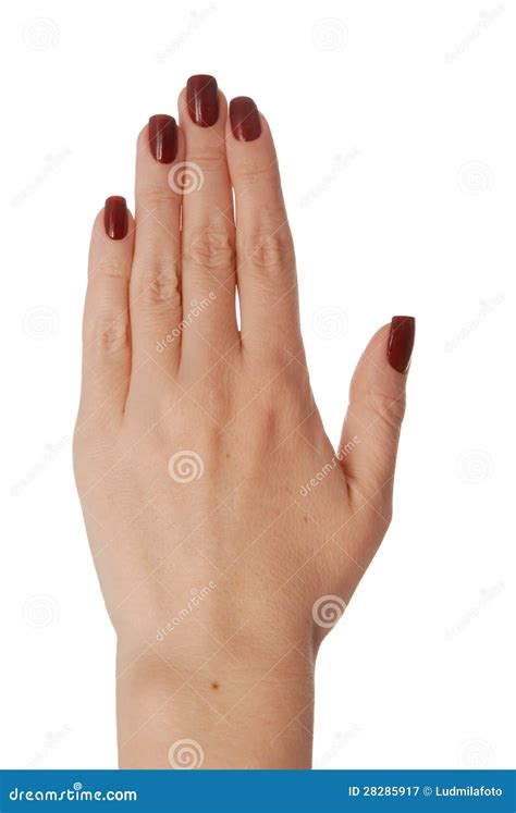 A Back Of The Womens Hand Stock Image Image Of Isolated 28285917