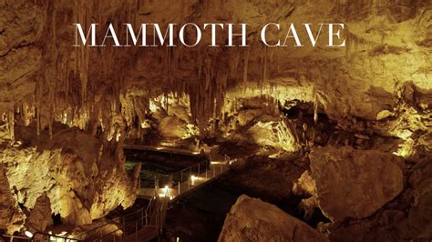 Mammoth Cave Margaret River Western Australia Carlsbad Caverns