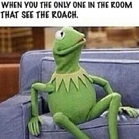 Kermit Face Meme