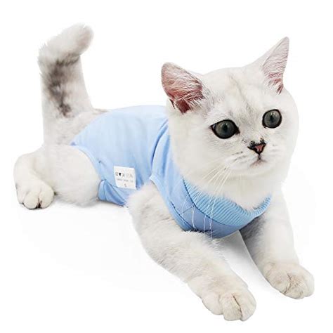 At the same time, this recovery suit may prevent the cat from being bitten by other animals and ensure the safety of the cat. Top Cat Clothes Reviewed | ACuteADay - Your Source for the ...