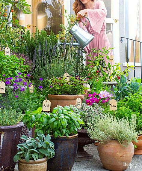 Many herbal combinations can actually harm one of the plants in the group. Front Garden Design Ideas | Gorgeous gardens, Herb garden ...