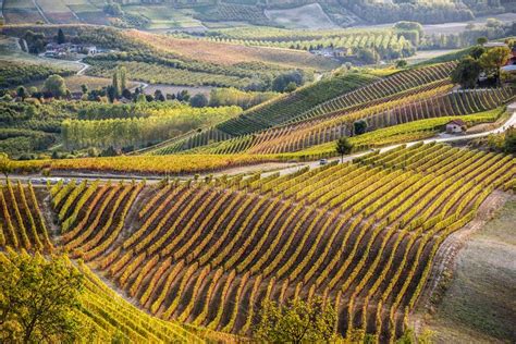 Piemonte Vineyards Barolo Langhe Alba Italy Stock Image Image Of