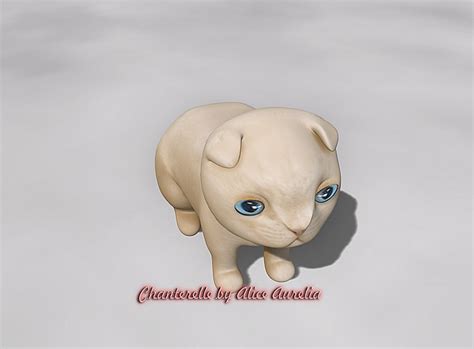 Second Life Marketplace Fd Animals Midget Kitten Fold Blonde