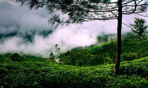 30 Kerala Images That Will Make You Want To Visit Kerala Iris Holidays