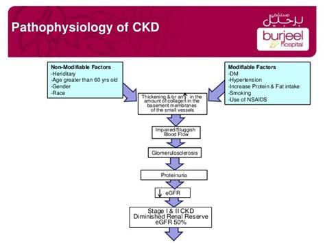 Hypertency Hypertension And Ckd Pathophysiology