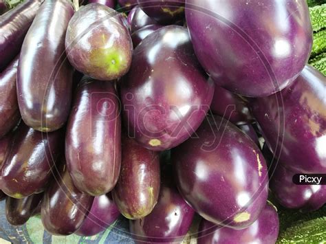 Image Of Different Types Of Brinjals Grows In India Uu565262 Picxy