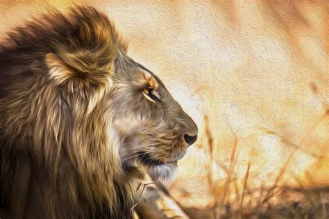Lion Art Hd Animals 4k Wallpapers Images Backgrounds Photos And