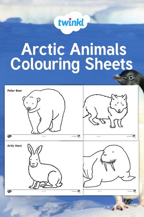 This Handy Set Of Colouring Sheets Gives Your Children The Opportunity