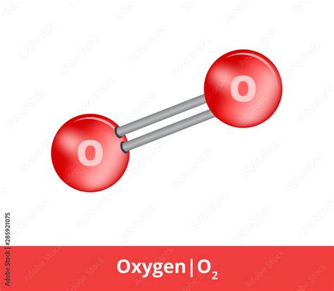 Vector Ball And Stick Model Model Of Chemical Substance Icon Of Oxygen