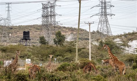 How Kenyas Push For Development Is Threatening Its Famed Wild Lands