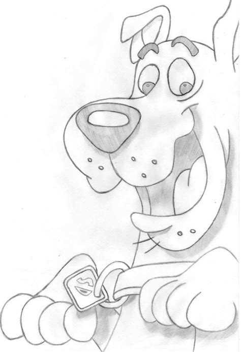 To draw any animal's body, you need to know its structure and form. Turma do Scooby Doo | Disney art drawings, Disney drawings sketches, Art drawings