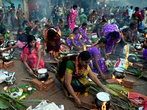 Festive Mood People Celebrate Pongal And Makar Sankranti Photo