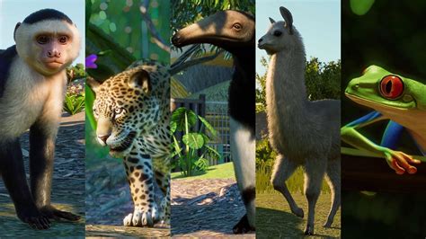 Planet Zoo Frontier Announces Planet Zoo Arctic Pack Dlc Free Update