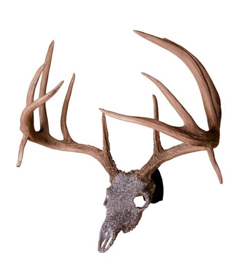Massive Whitetail Deer Gem Skull Replica Encrusted W 8000 Silver