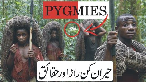 Pygmy Tribe History In Urduhindi Pygmies Facts And Reality Youtube