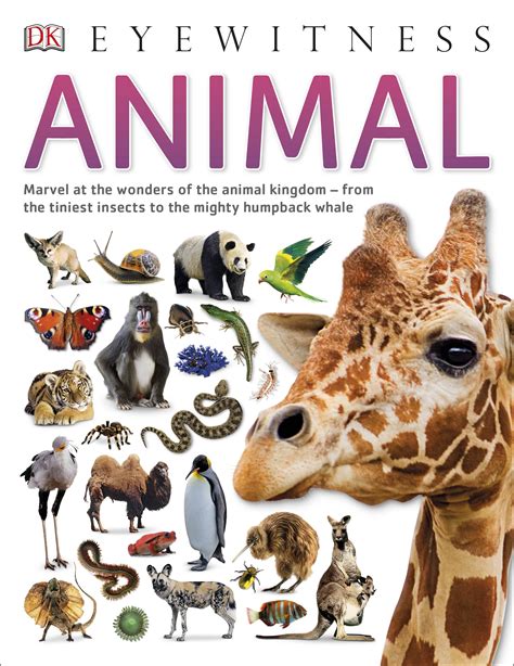 Animal By Dk Penguin Books Australia