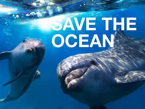 Save The Ocean