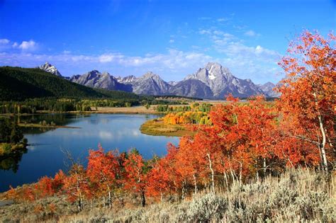 3 Best National Parks For Fall Foliage Grand Teton National Park