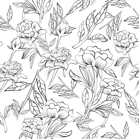 Seamless Elegant Peony Pattern Stock Vector Illustration Of Blossom
