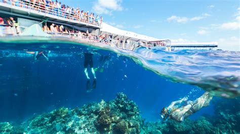 Great Barrier Reef Marine World Pontoon Cruise Tour From Cairns