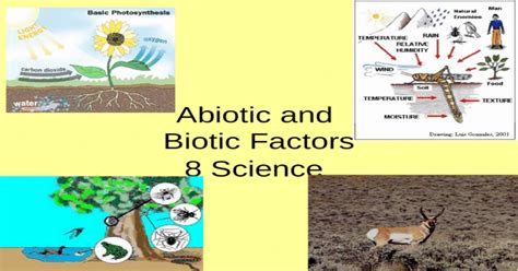 Abiotic And Biotic Factors Pptx Powerpoint