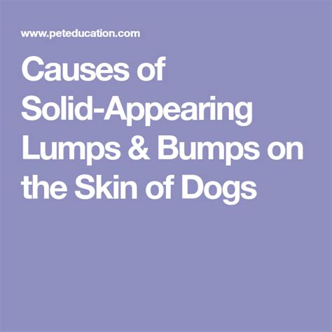 Causes Of Solid Appearing Lumps And Bumps On The Skin Of Dogs Tumors On
