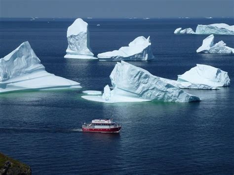 Twillingate Adventure Tours Twillingate Newfoundland And Labrador