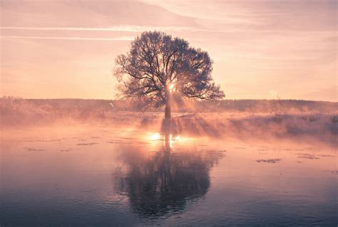 Belarusian Photographer Wakes Up Early In The Morning To