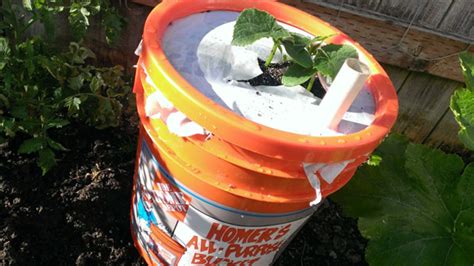 How To Make A Self Watering Planter With A 5 Gallon Bucket
