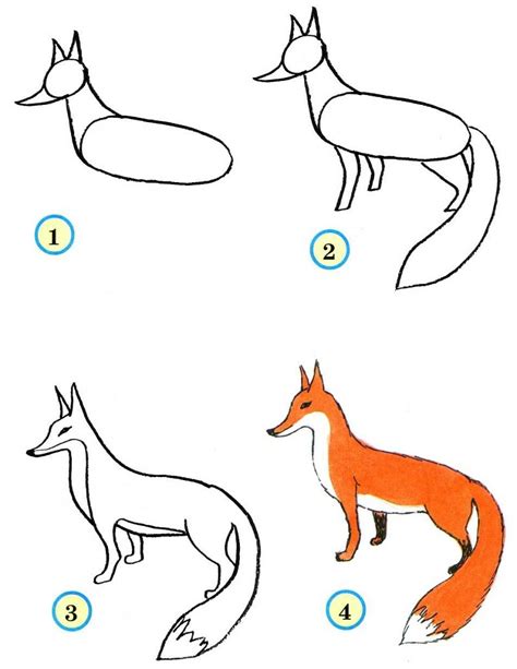 Учимся рисовать животных для детей 5 лет пошаговая инструкция
