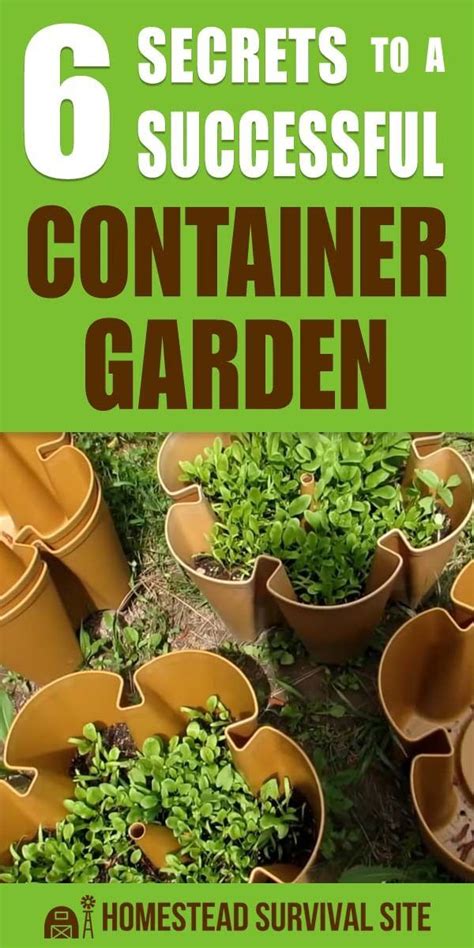 6 Secrets To A Successful Container Garden Homestead Survival Site