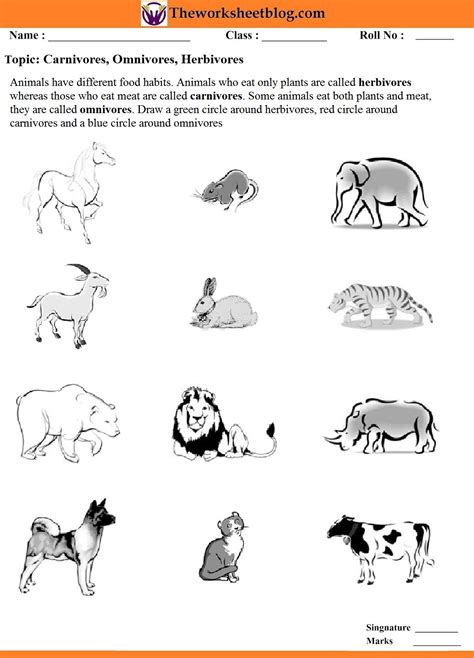 All these categories of animals are facilitating each another for their survival. Animal around us worksheet - Theworksheetsblog