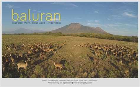 Baluran National Park Beautiful Indonesia Aerial Cinematography