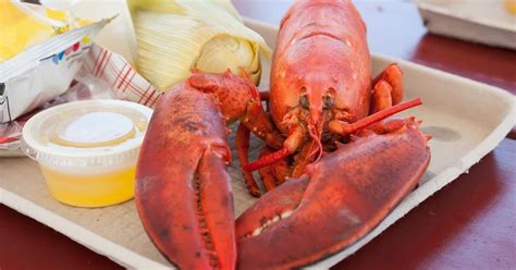 The Ultimate Showdown Rock Lobster Vs Maine Lobster Revealed